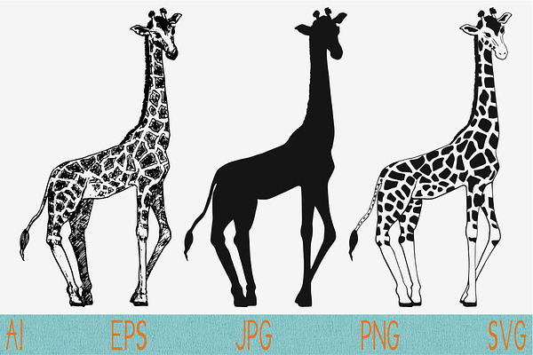 Giraffe Set Vector Svg Png Jpeg Pre Designed Photoshop Graphics Creative Market