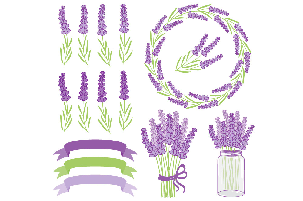 Lavender Set | Pre-Designed Illustrator Graphics ~ Creative Market