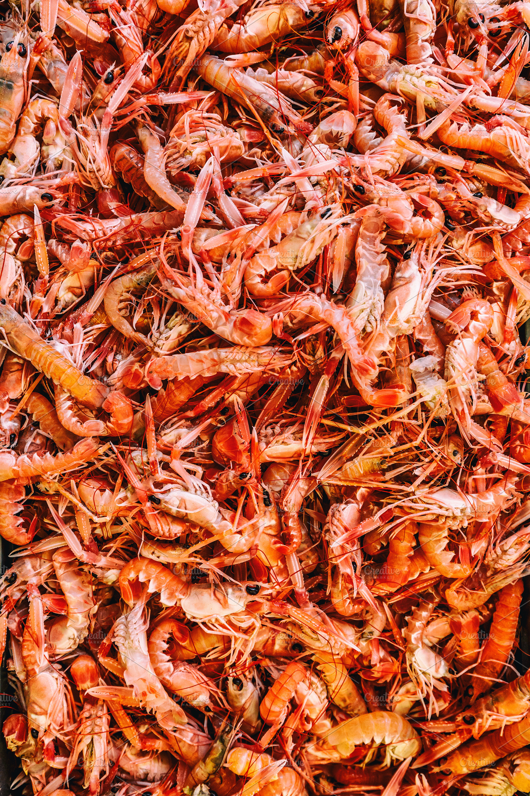 fresh-raw-shrimp-high-quality-food-images-creative-market