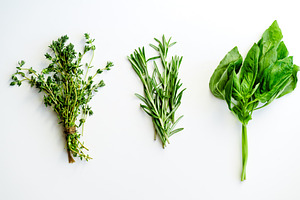 Featured image of post Steps to Make Rosemary&#039;s Thyme