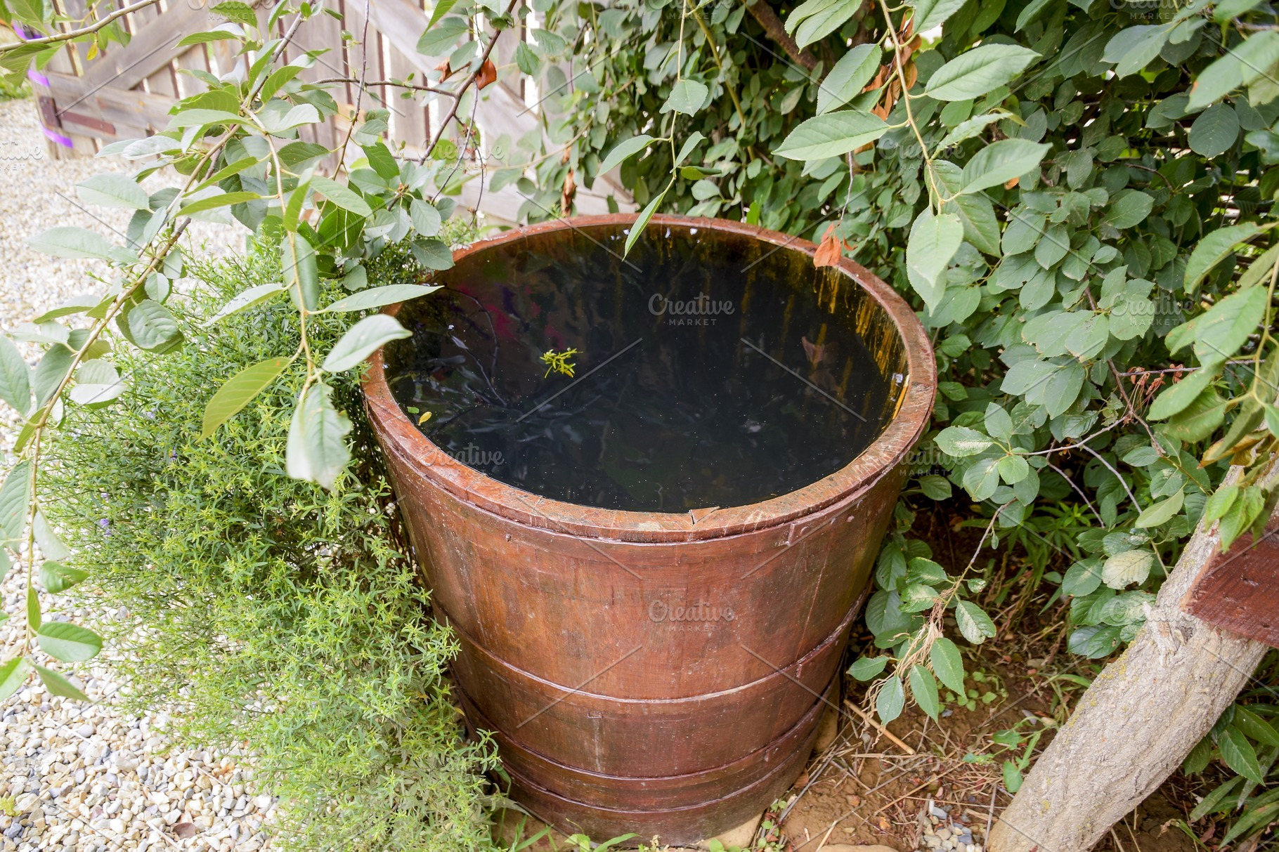 Wooden barrel filled with water containing barrel, rust, and wood ...