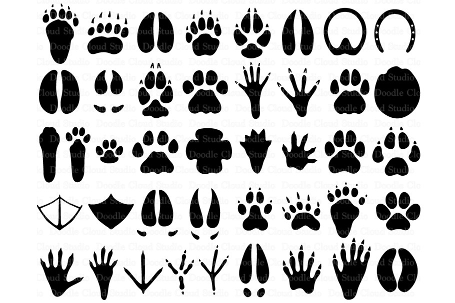 Download 31 Animal Paw Svg Paw Prints Files Pre Designed Photoshop Graphics Creative Market