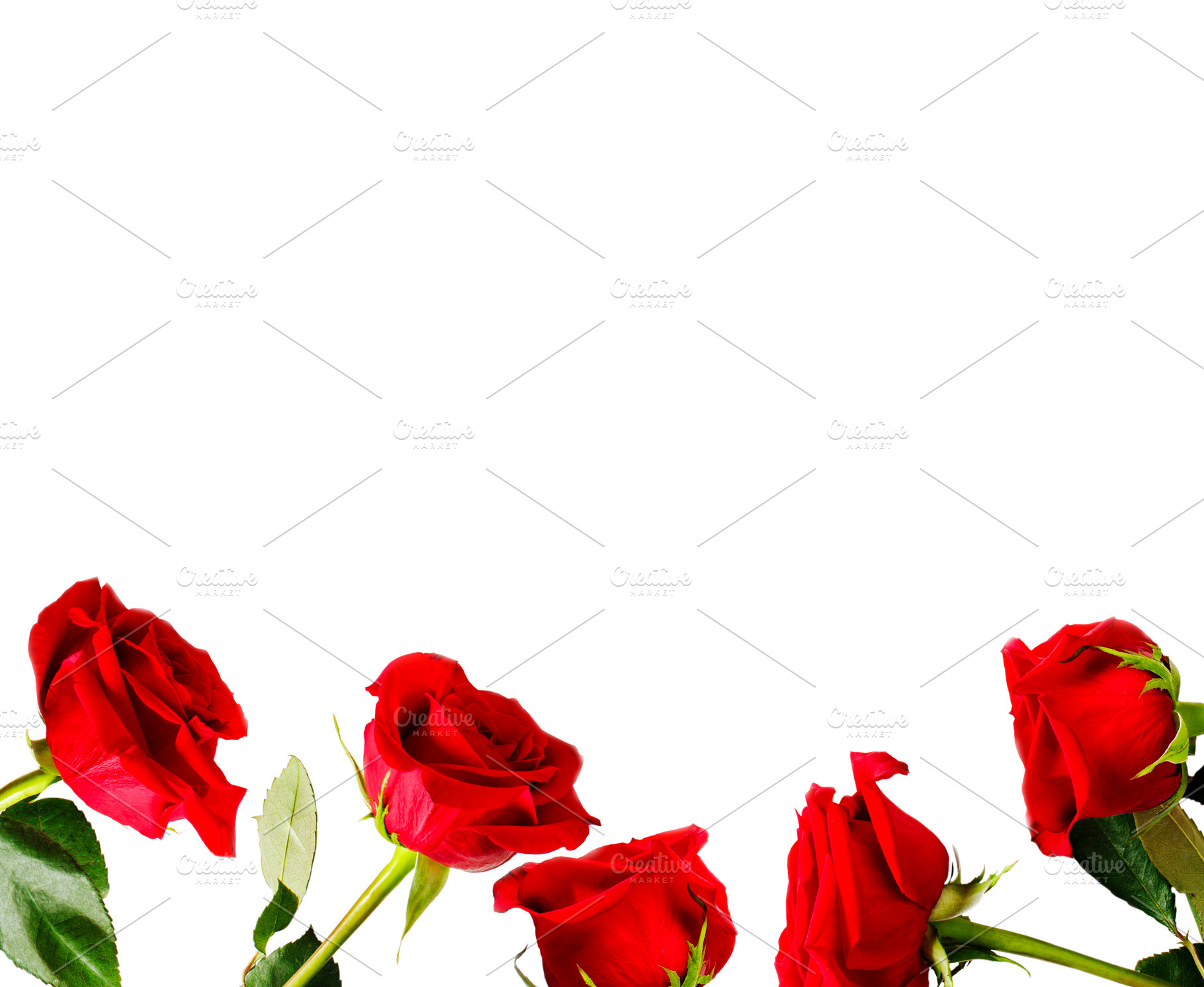 Fresh Red Roses Background Stock Photo Containing Rose And Red High Quality Nature Stock Photos Creative Market