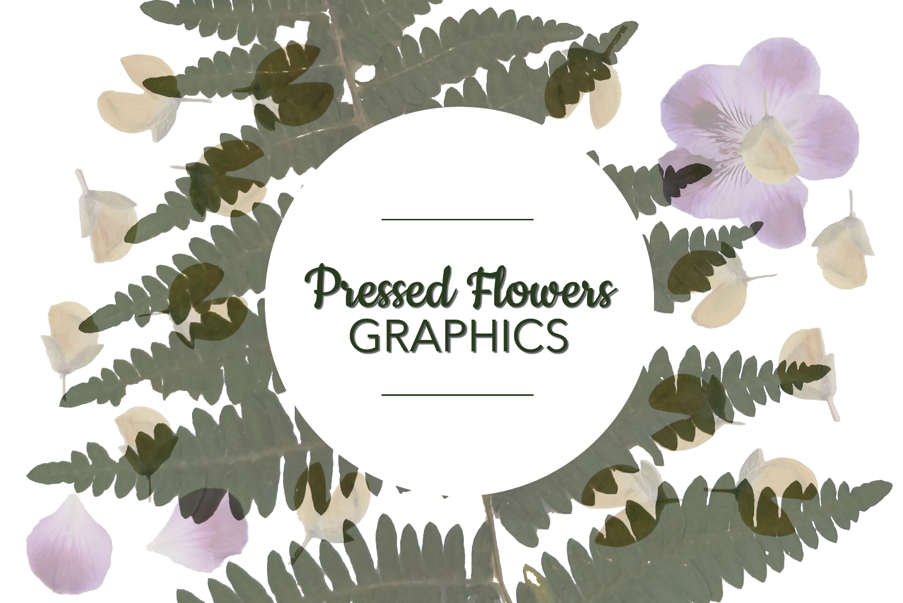 Pressed Flowers PNG Graphics | Pre-Designed Photoshop Graphics