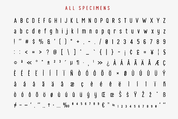 Finland Font Family Stunning Sans Serif Fonts Creative Market