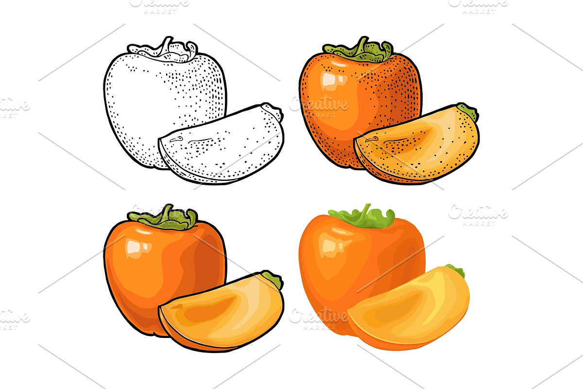 Persimmon Black vector