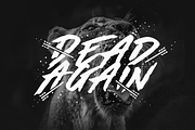 Made by Bears - Font | Stunning Display Fonts ~ Creative Market