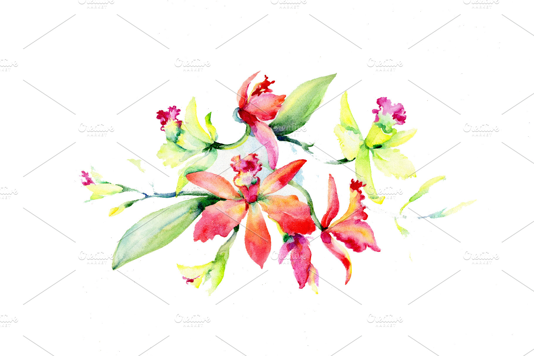 Bouquet of red tropical orchids PNG | Seasonal Illustrations ~ Creative ...