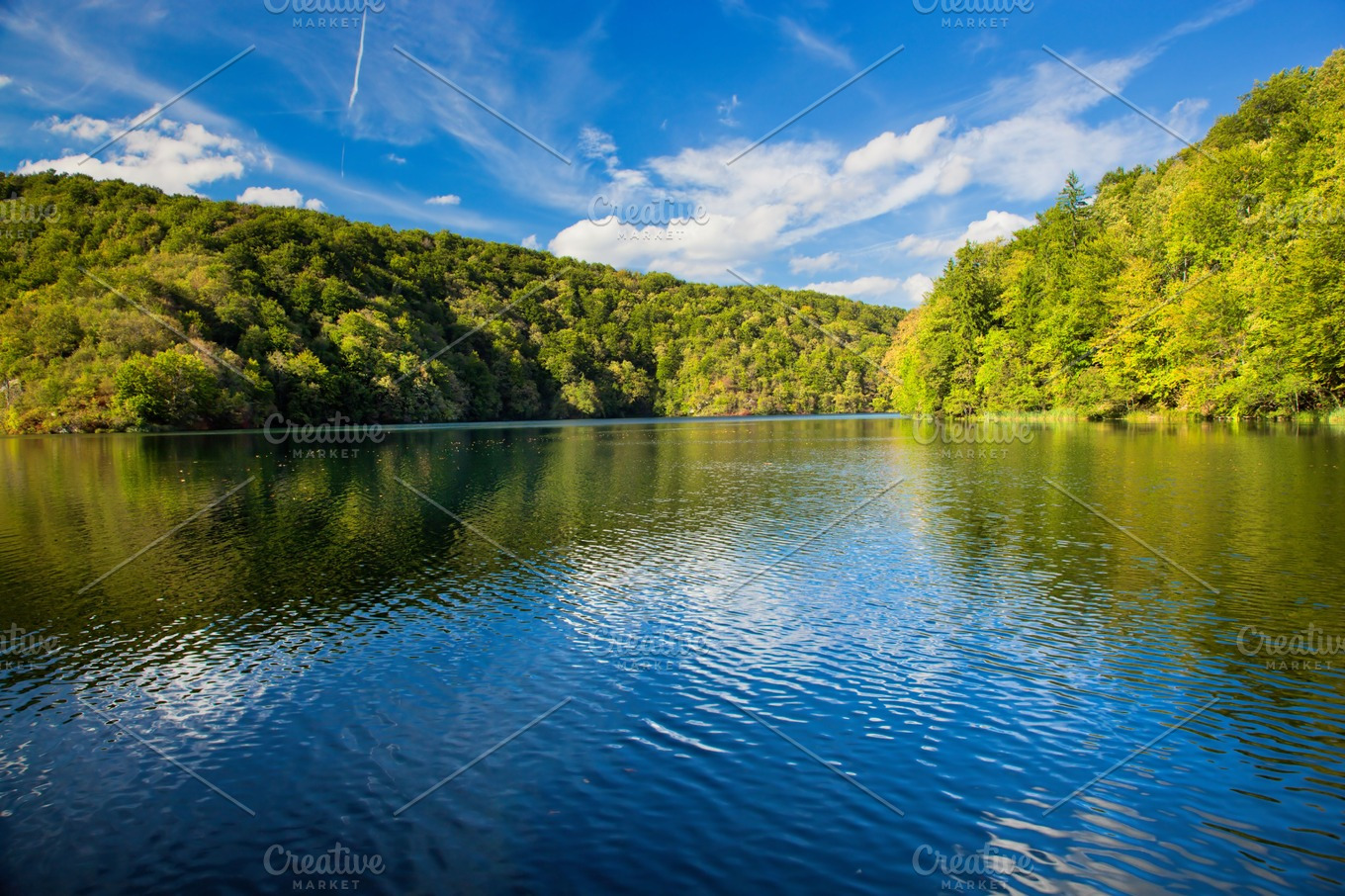 Lake in forest, Croatia | High-Quality Nature Stock Photos ~ Creative