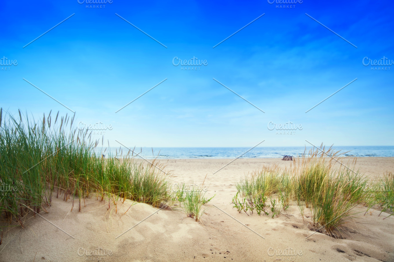 Beach with dunes and green grass containing beach, sand, and ocean