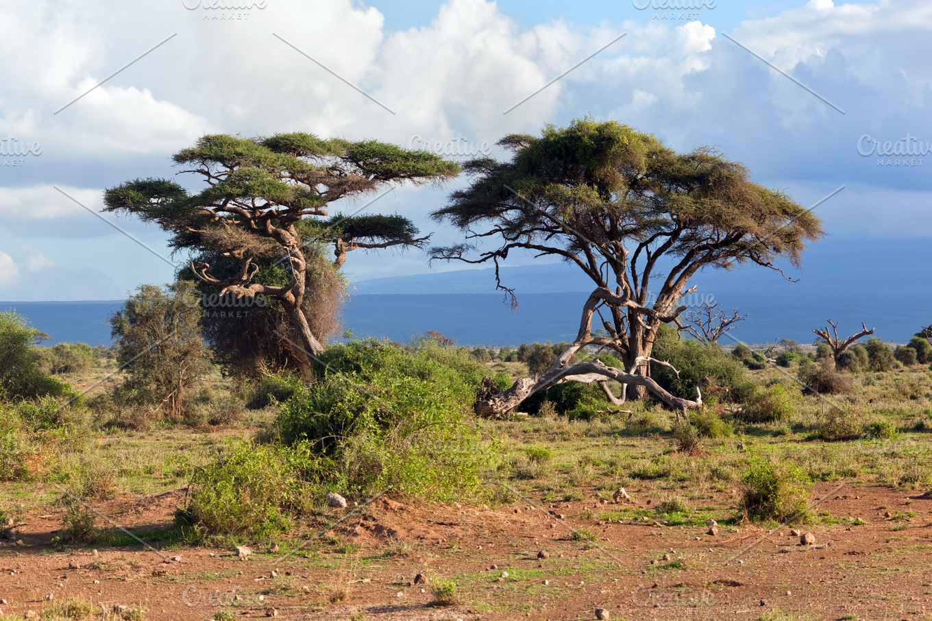 Kanyobagonga landscape