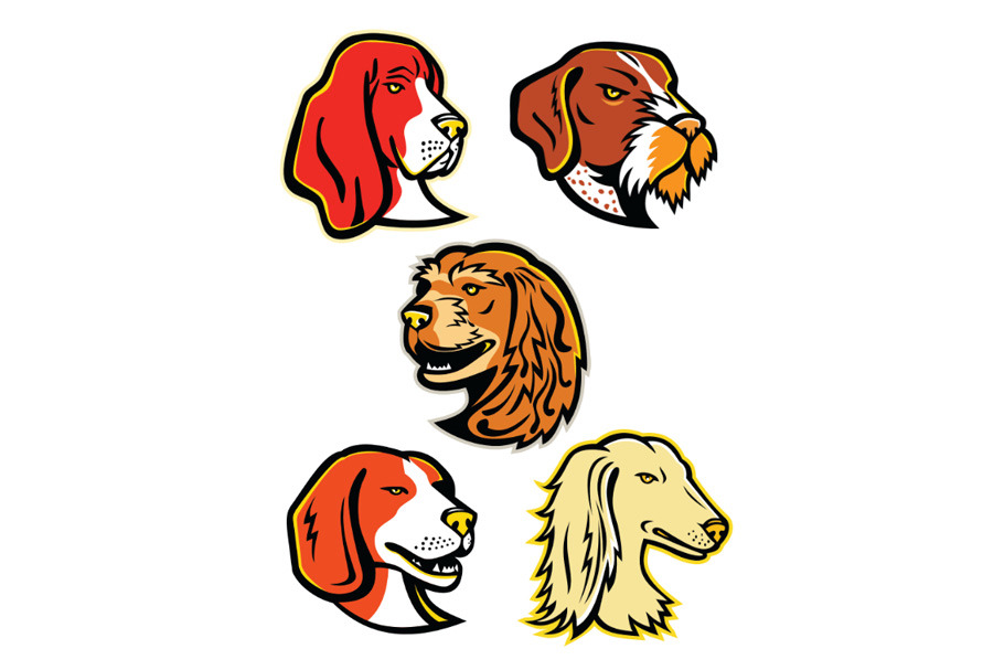 hound-dogs-mascot-collection-animal-illustrations-creative-market