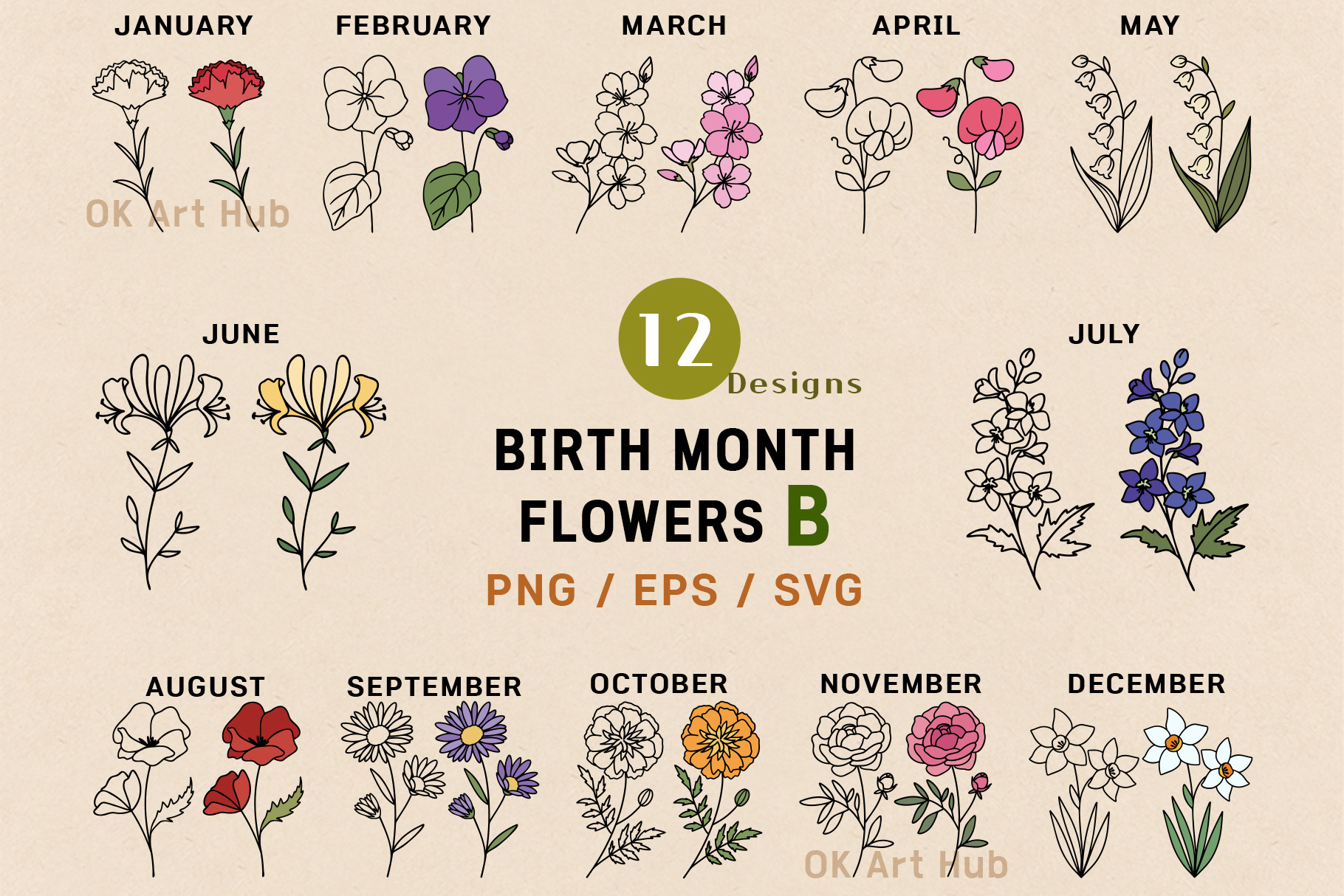 Birth Month Flower Vector-B | Decorative Illustrations ~ Creative Market