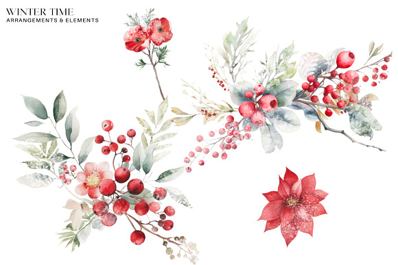 Bright Winter Florals, Watercolor Winter Floral Clipart, Winter