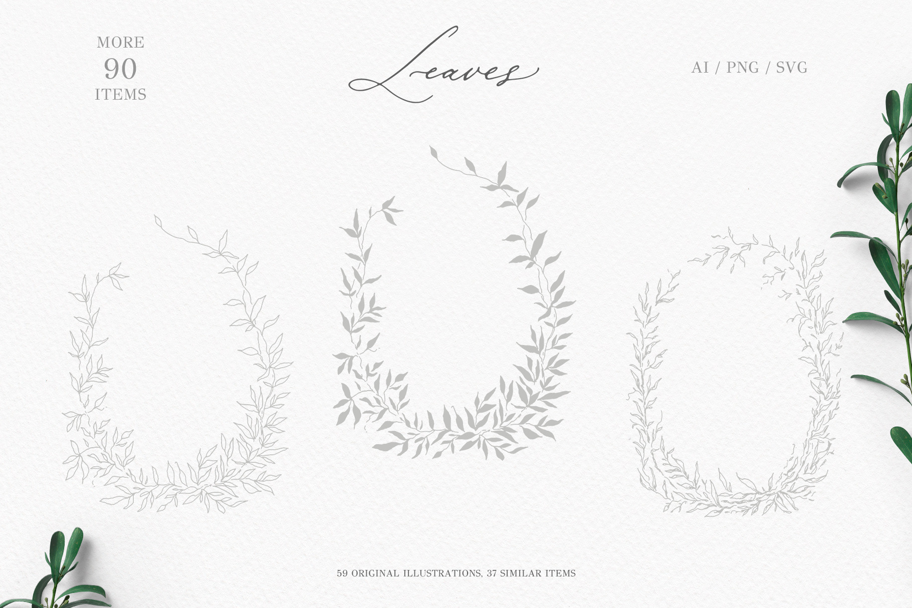 Olive leaves. Laurel frame & wreath | Decorative Illustrations ...