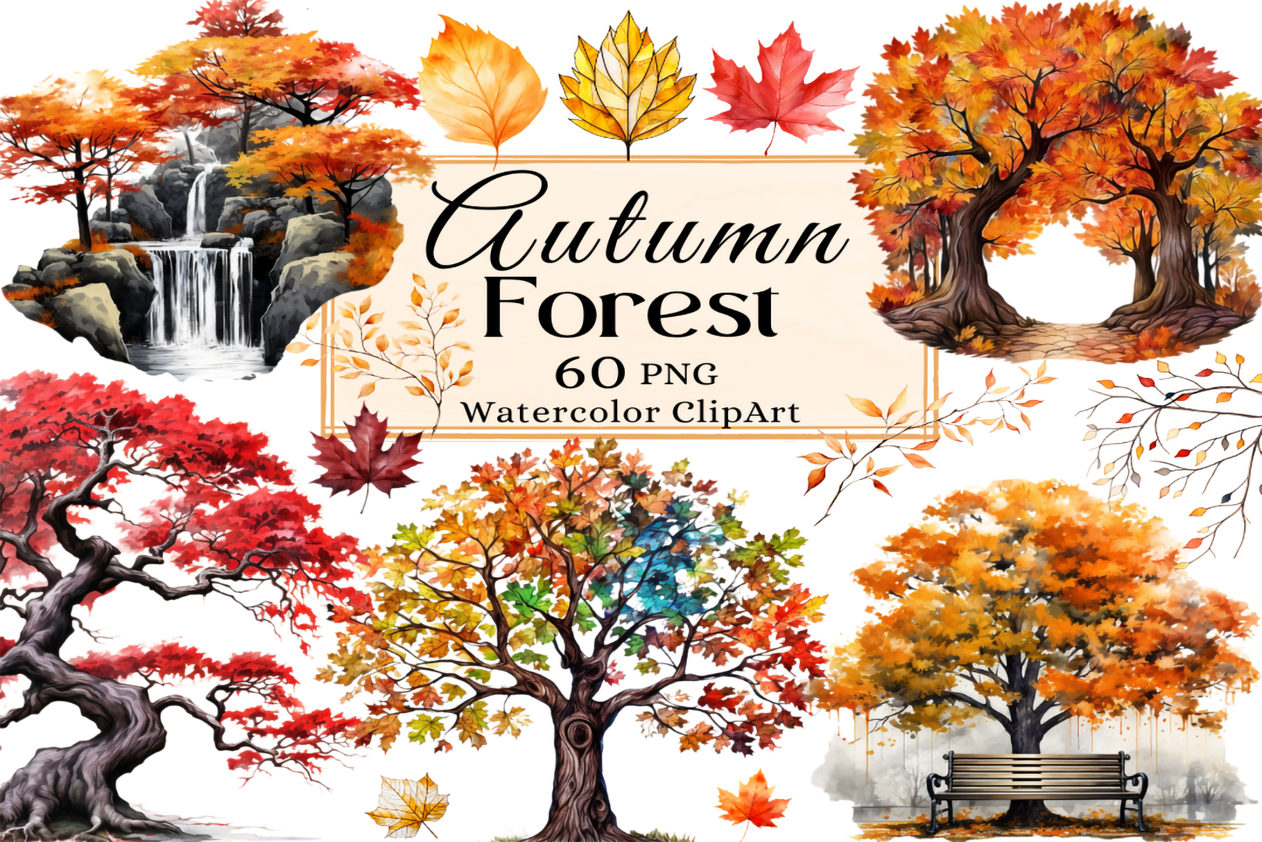 Watercolor Autumn Forest Clipart | Creative Market