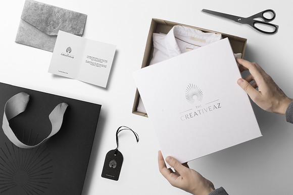 Modern Luxury Logo Collection (2839932)