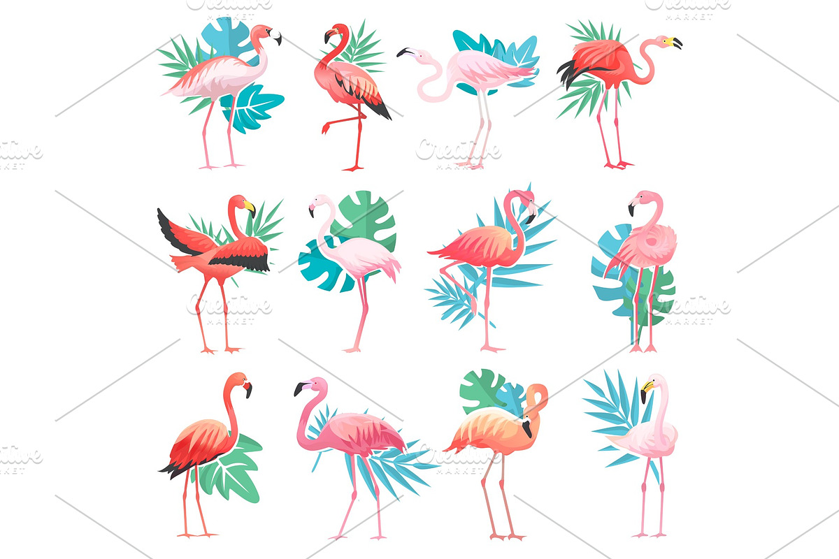 Flamingo vector tropical pink | Pre-Designed Vector Graphics ~ Creative ...