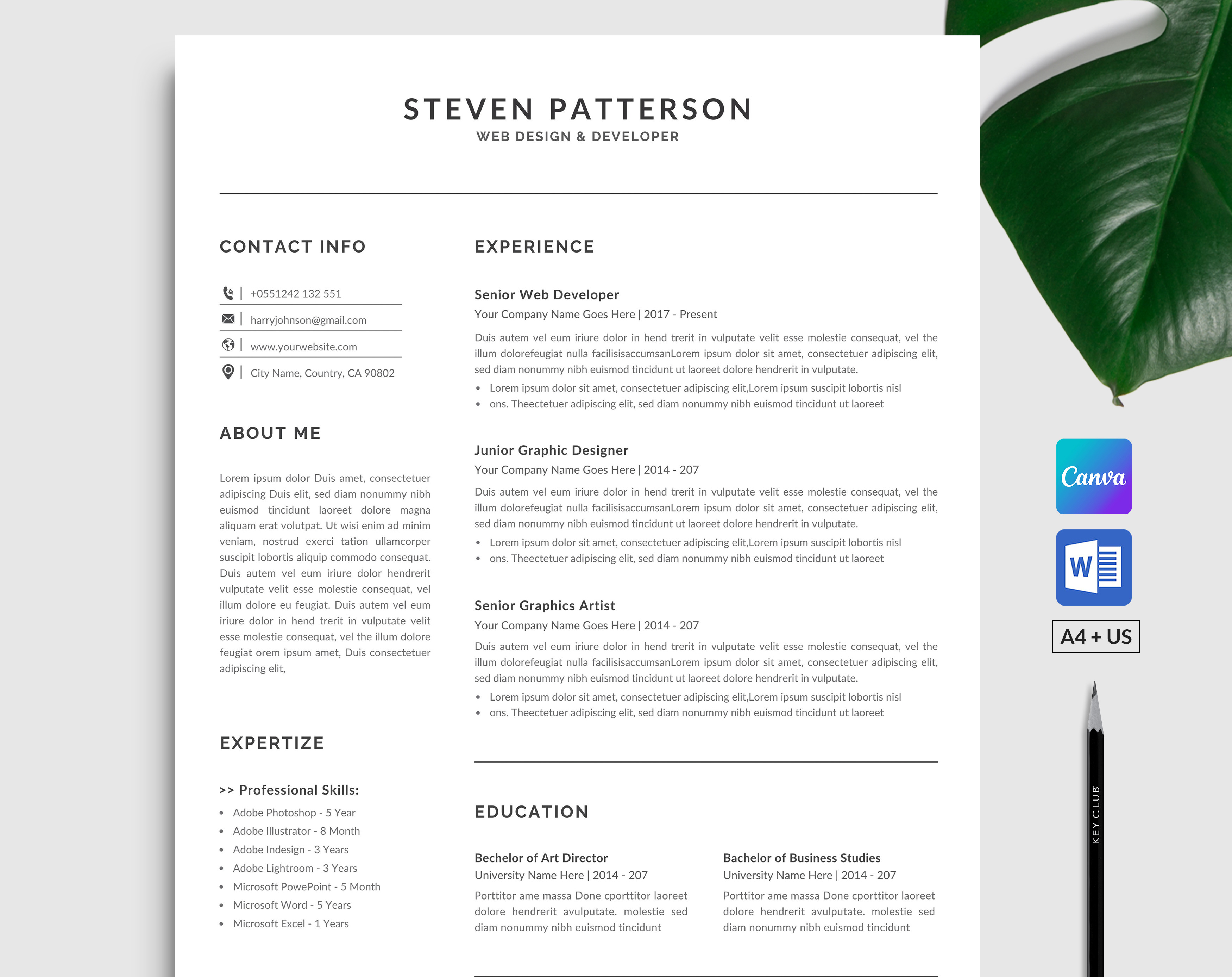 resume-cv-template-canva-word-resume-templates-creative-market