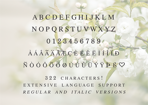 All Formal By Kestrel Montes Stunning Serif Fonts Creative Market