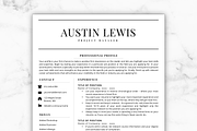 professional resume writers austin