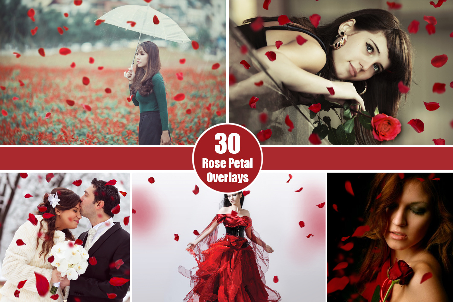 30 Falling Rose Petals Photo Overlay