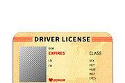 Realistic driver license | Graphic Objects ~ Creative Market