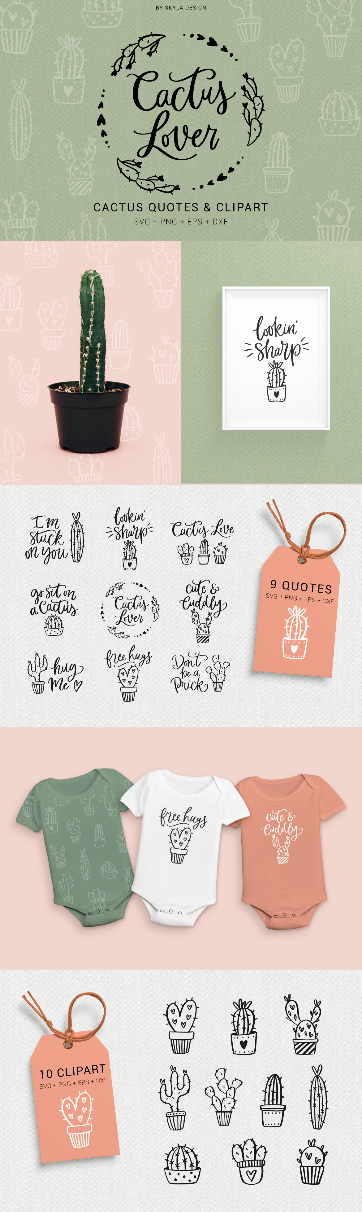 Cactus Lover Quotes Clipart Svg Pre Designed Photoshop Graphics Creative Market