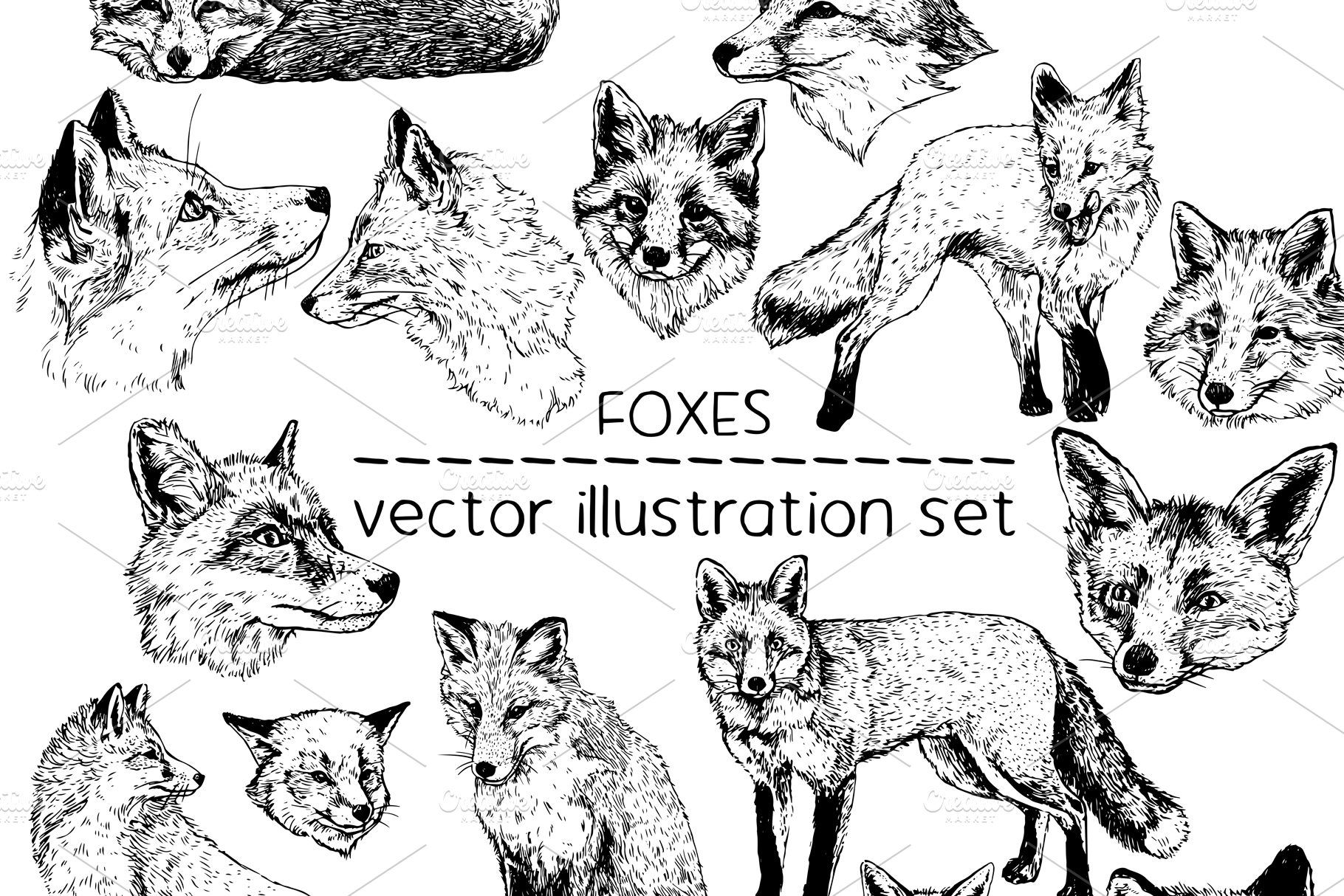 Foxes & fox heads vector illustration | Creative Market