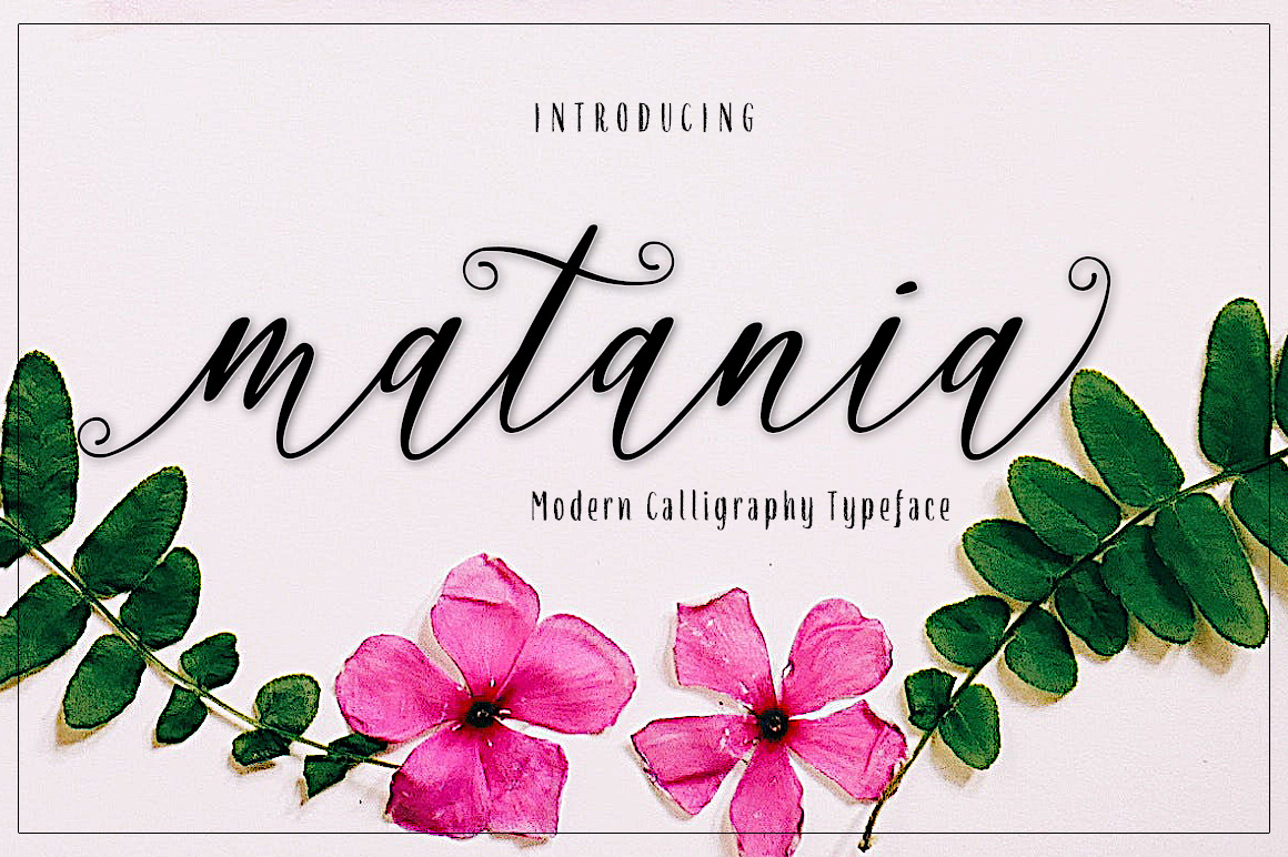 matania script | Script Fonts ~ Creative Market