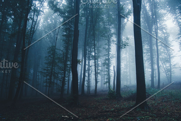 Dark forest ghost banner background | Custom-Designed Web Elements ...