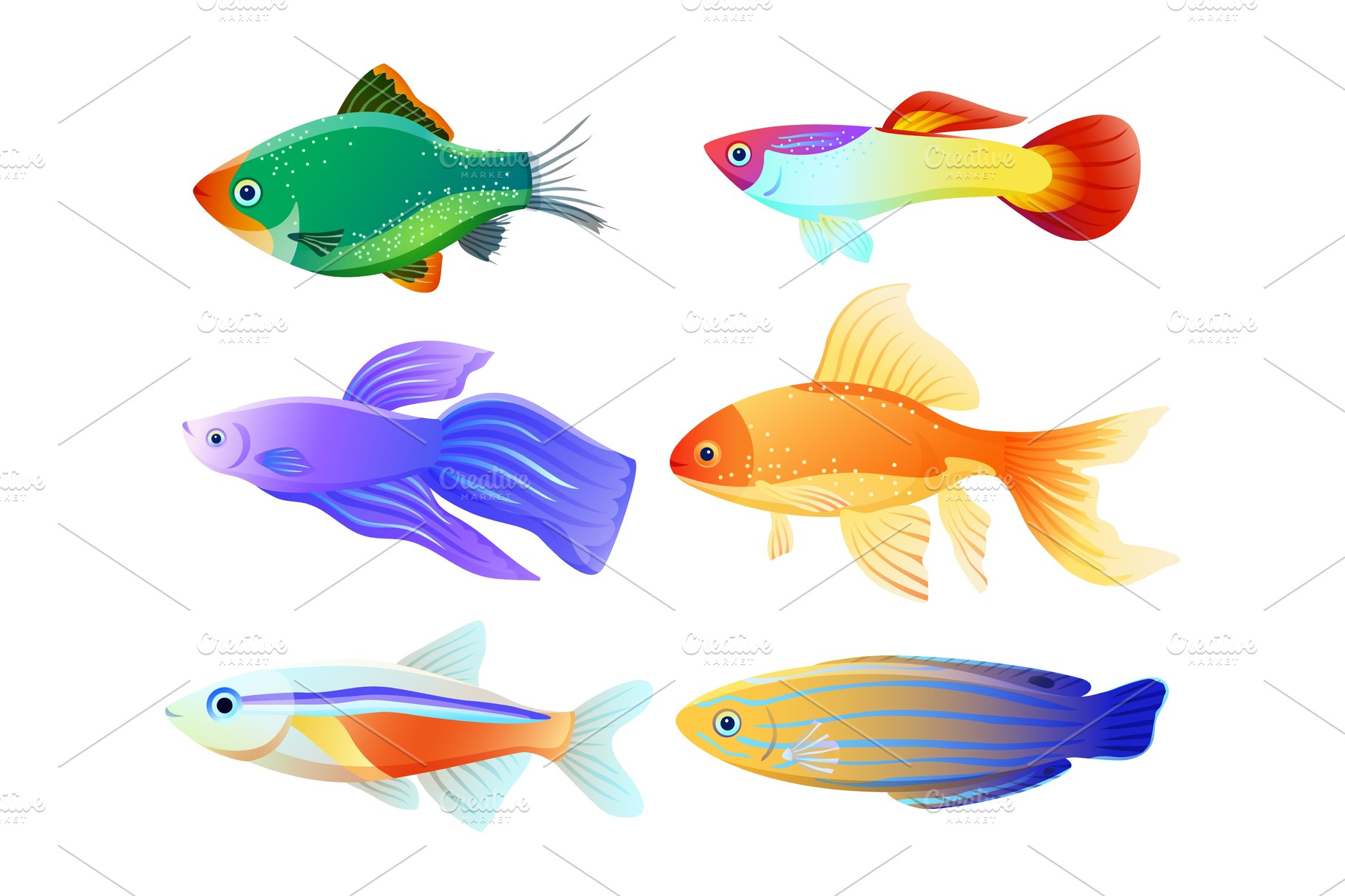 Aquarium Fish Specie Cartoon | Pre-Designed Vector Graphics ~ Creative