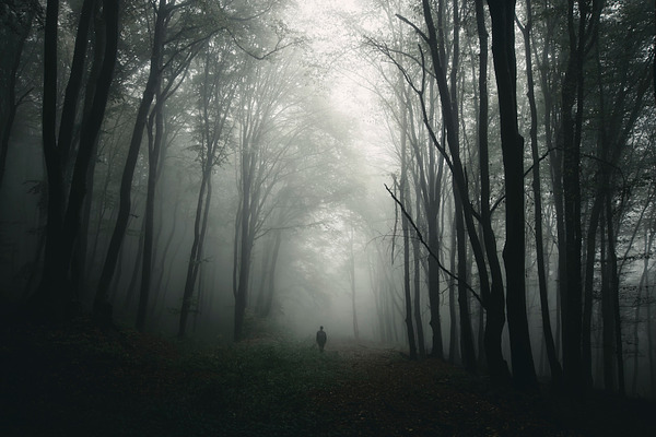 Man silhouette in scary forest | High-Quality Nature Stock Photos ...