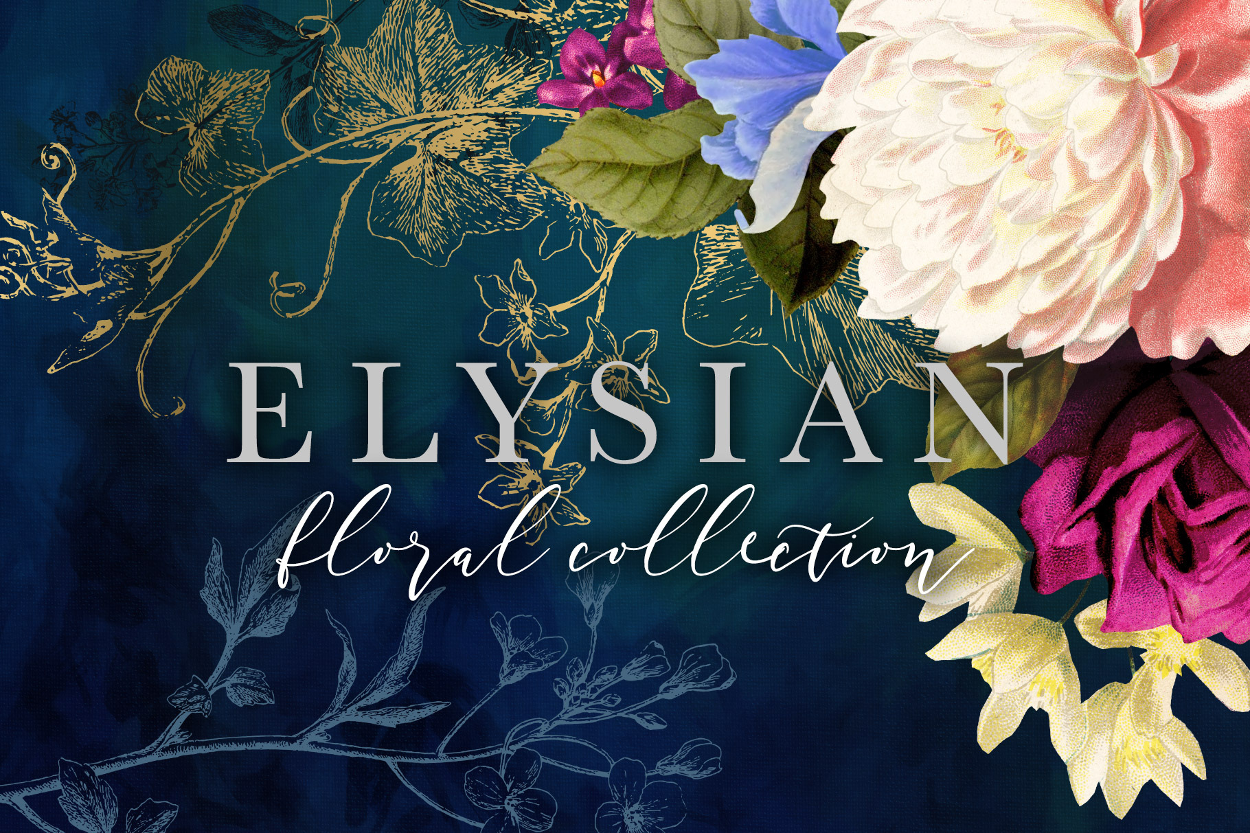 Elysian Floral Collection Illustrations Creative Market