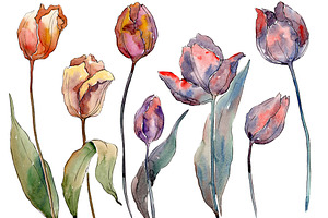 Black tulips PNG watercolor flower | Pre-Designed Photoshop Graphics ...