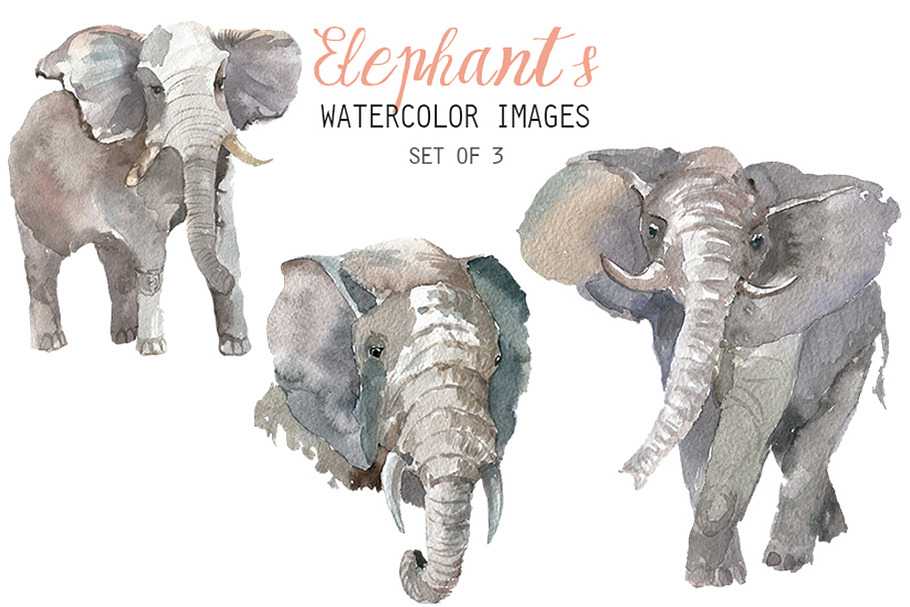 Watercolor Horses Clipart | Pre-Designed Photoshop Graphics ~ Creative ...