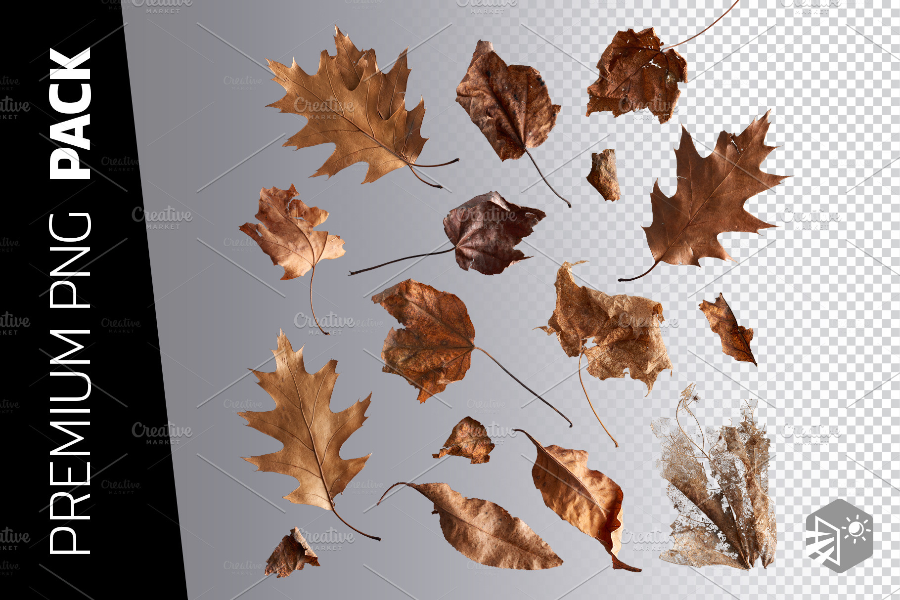 16 autumn leaves png images high quality nature stock photos creative market 16 autumn leaves png images