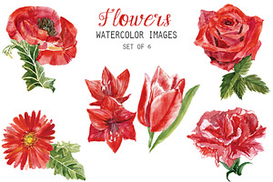 Watercolor Clip Art - Flowers | Pre-Designed Photoshop Graphics