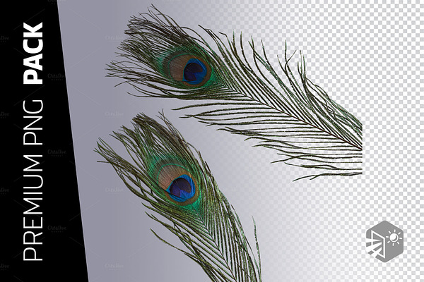 2 peacock feather png images high quality nature stock photos creative market 2 peacock feather png images