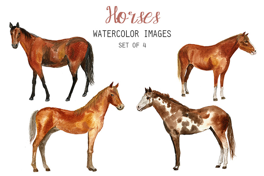 Download Watercolor Dogs Clipart Pre Designed Photoshop Graphics Creative Market