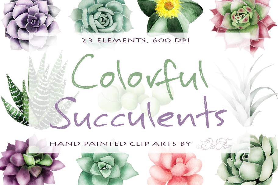 Succulent Watercolor Clipart | Decorative Illustrations ~ Creative Market