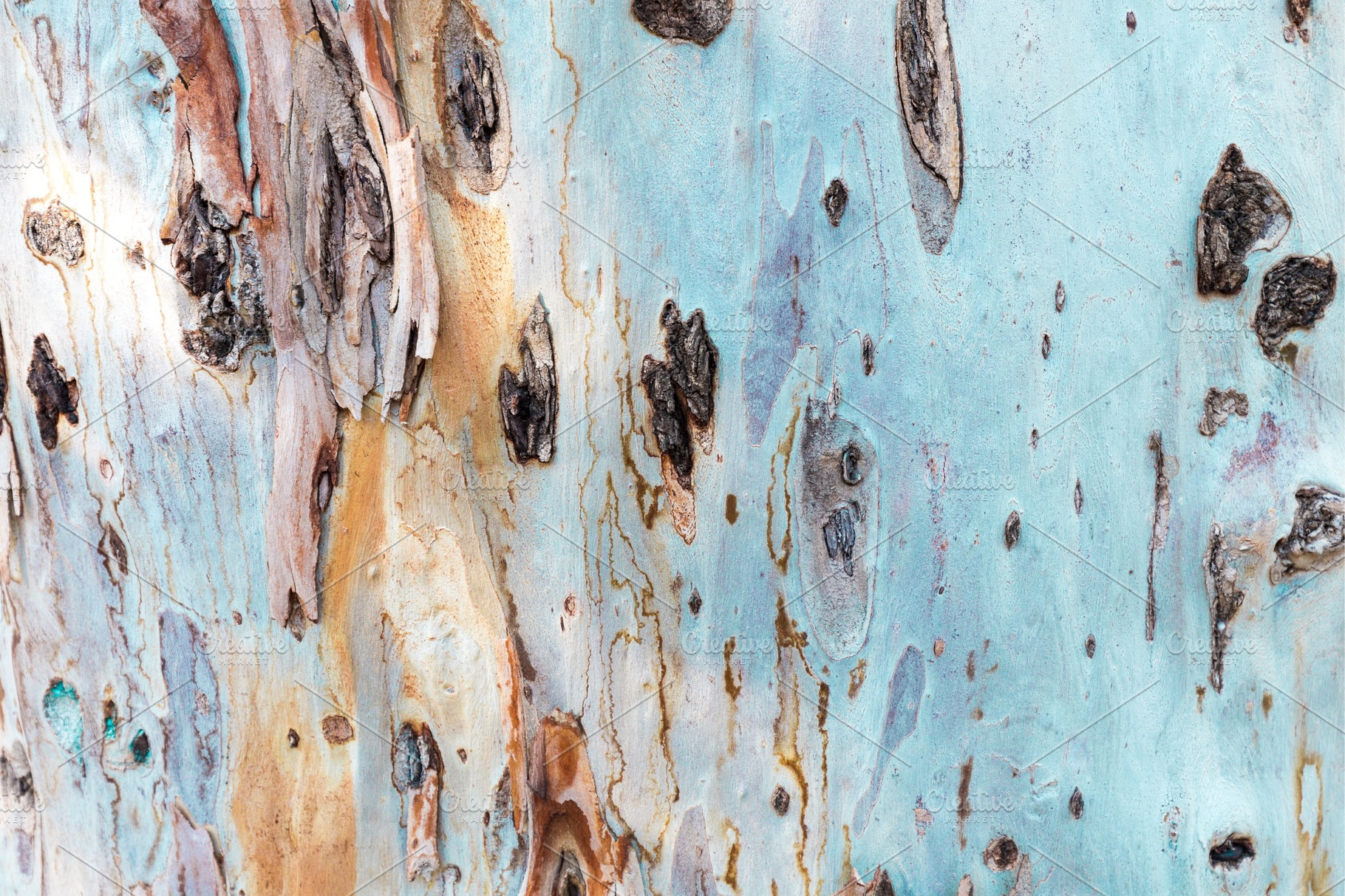 Bark of tree. Background. Wallpaper | Abstract Stock Photos ~ Creative