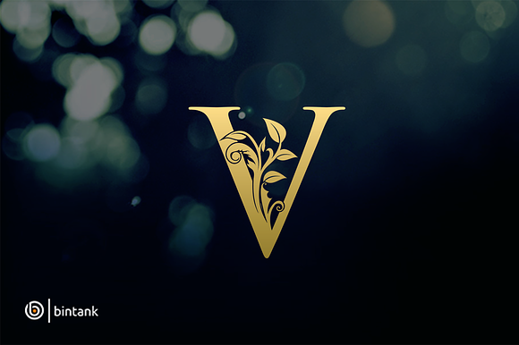 Gold V Letter Logo Creative Illustrator Templates Creative Market