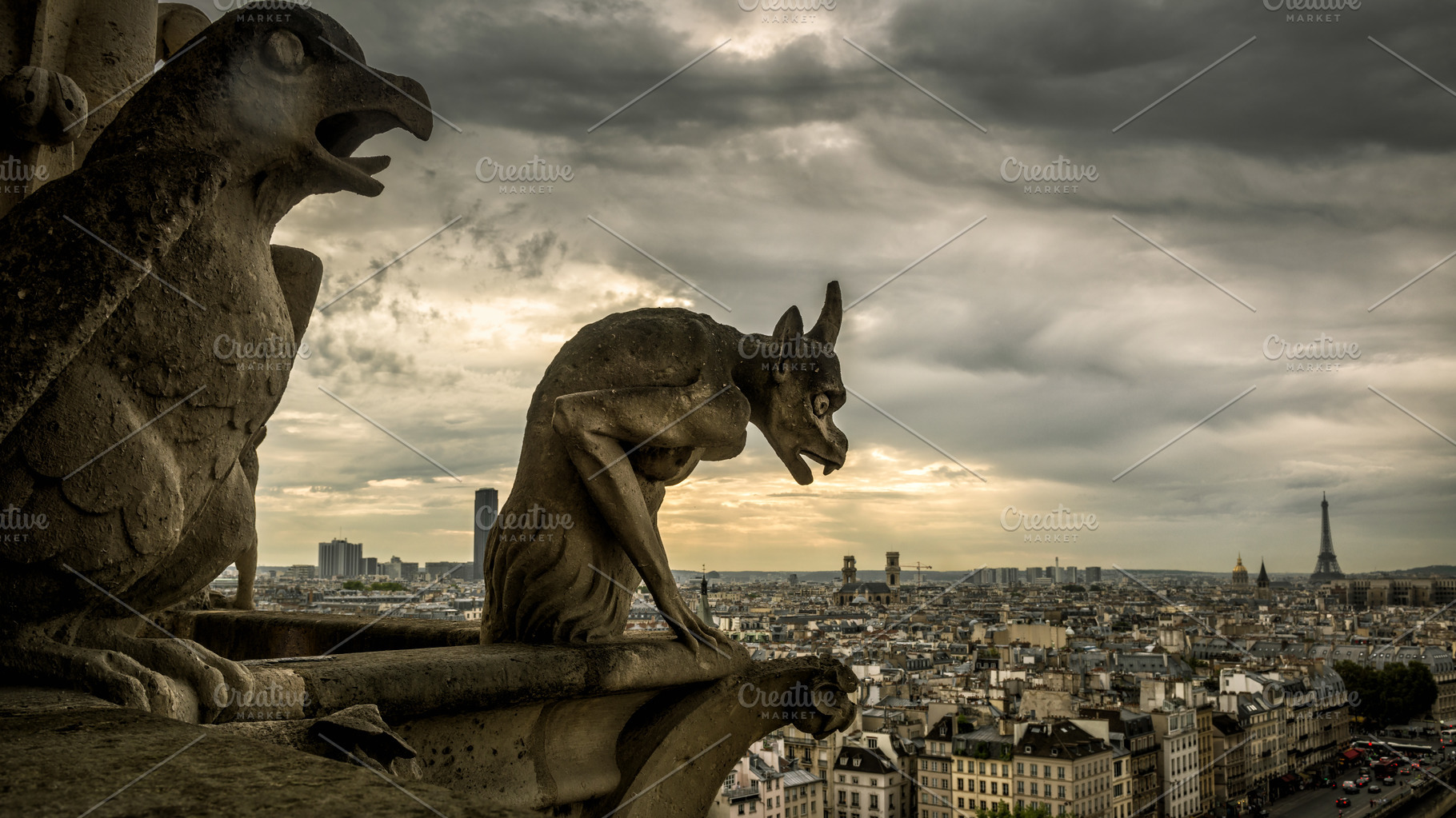 gargoyles-of-notre-dame-architecture-stock-photos-creative-market