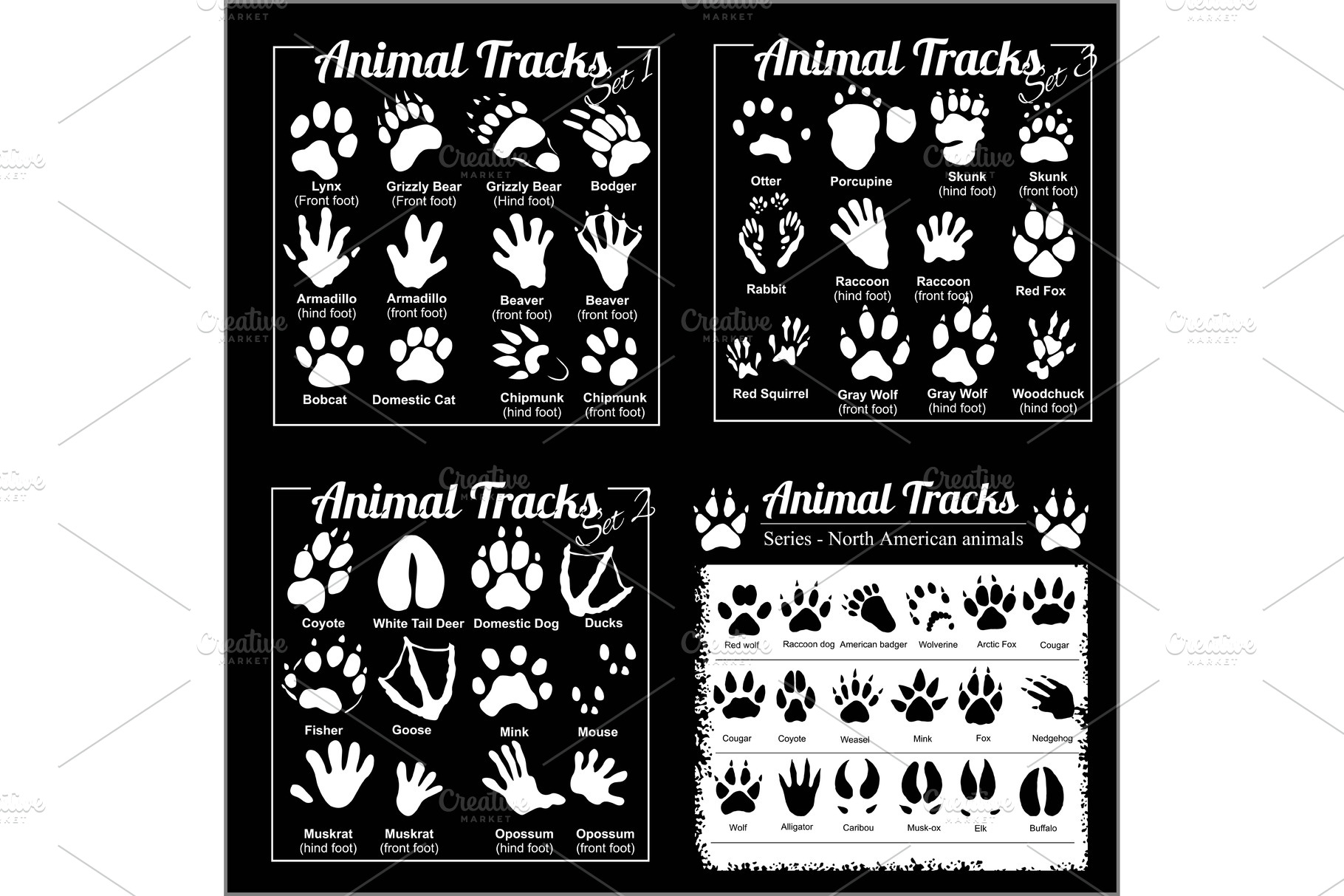 animal-tracks-north-american-animal-illustrations-creative-market