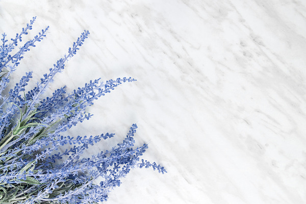 Blooming lavender on marble surface | High-Quality Beauty & Fashion ...