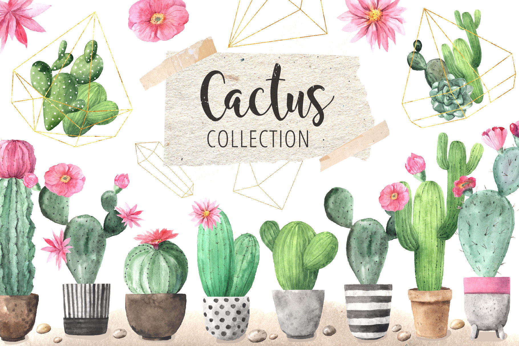 Download Watercolor Exotic Cactus Collection Pre Designed Photoshop Graphics Creative Market