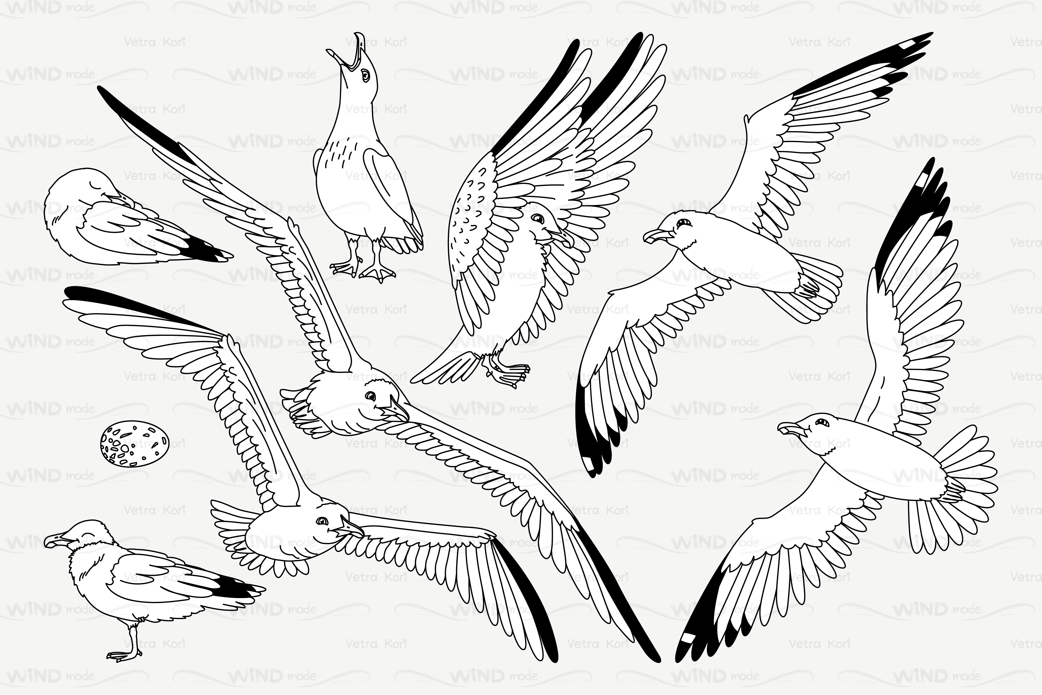 Seagulls Coloring Pages Super Coloring Seagull Tattoo - vrogue.co