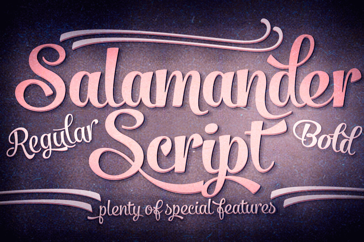 Salamander Script Stunning Script Fonts Creative Market