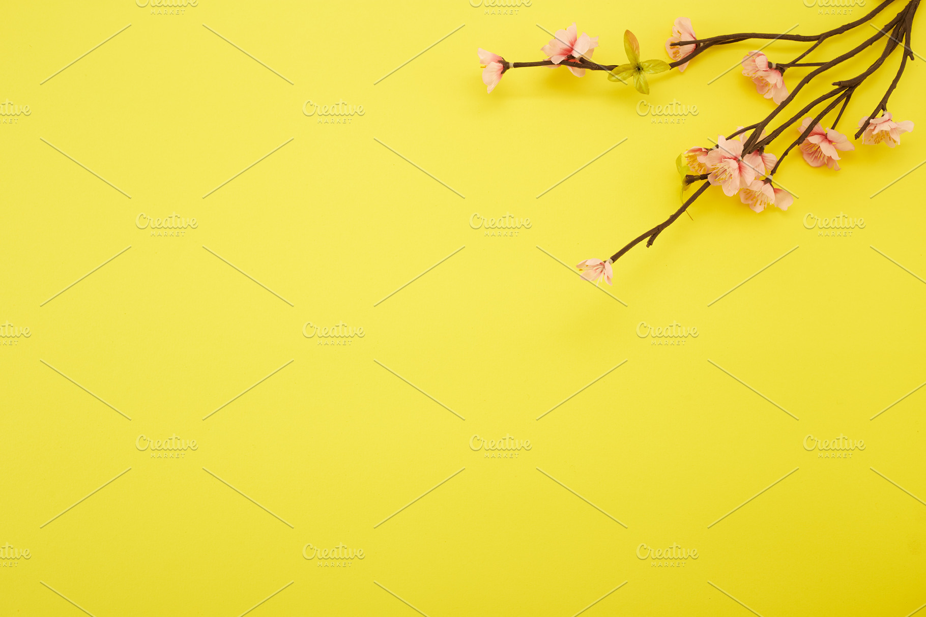 Plum Flowers on yellow background | Stock Photos ~ Creative Market